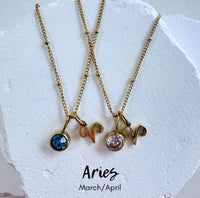 Birthstone Zodiac Necklace by BLC