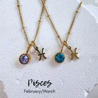 Birthstone Zodiac Necklace by BLC