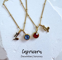 Birthstone Zodiac Necklace by BLC