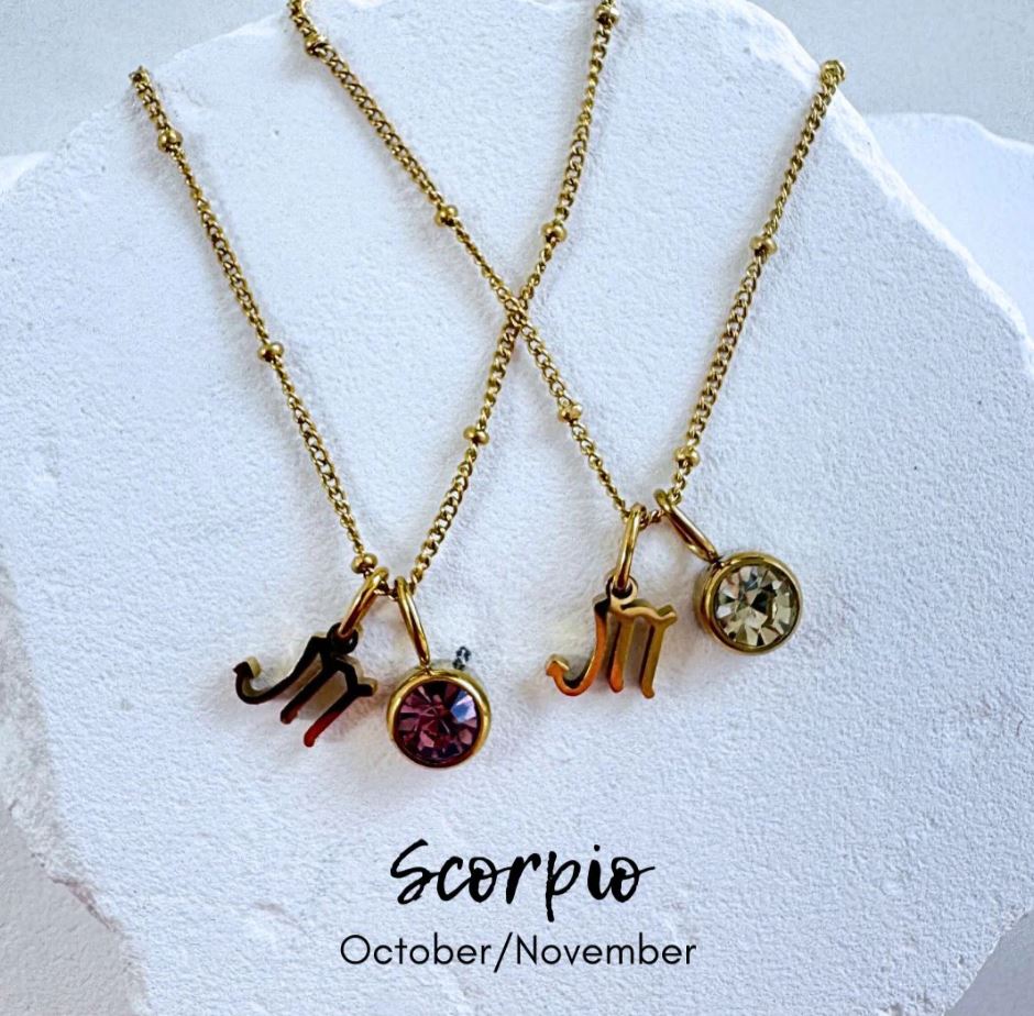 Birthstone Zodiac Necklace by BLC