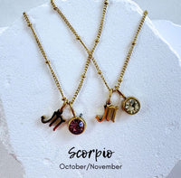 Birthstone Zodiac Necklace by BLC