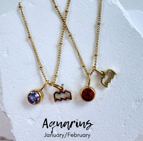 Birthstone Zodiac Necklace by BLC