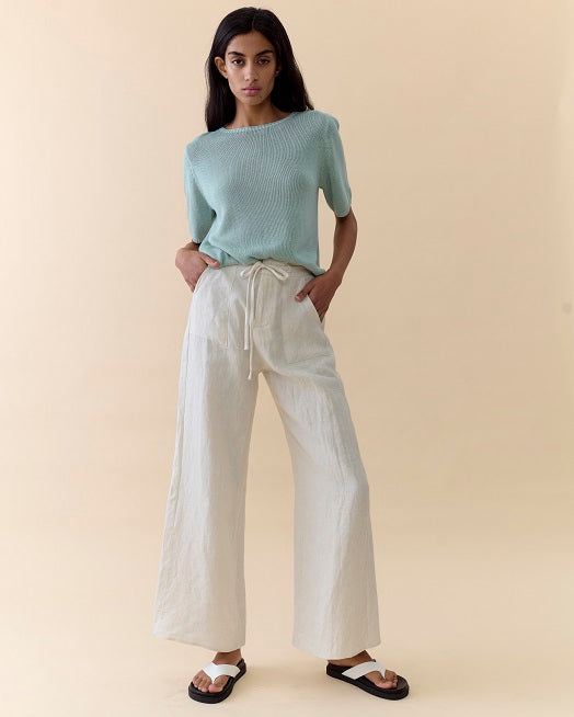 Remy Pant