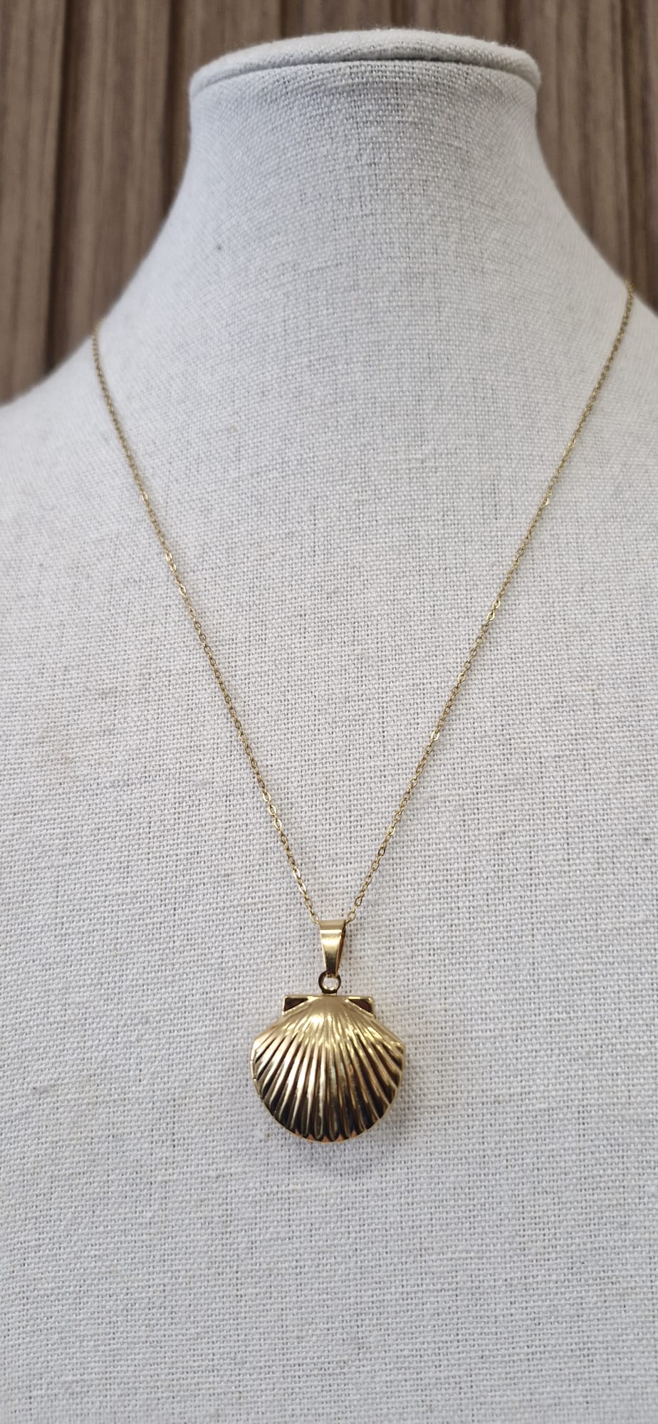 Soleil Shell Locket Necklace